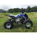 110cc спорта ATV с полной автоматической Gears для детей